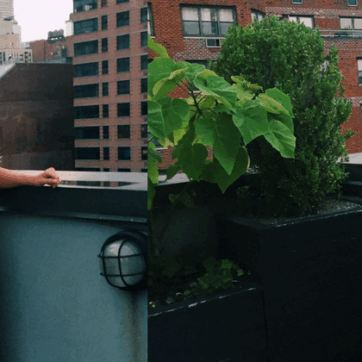 But First… A Quick Update!